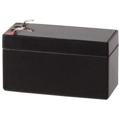 MAASLAND Security accu 12V